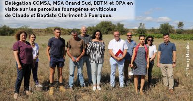 Délégation CCMSA, MSA Grand Sud, DDTM et OPA en visite sur les parcelles fouragères et viticoles de Claude et Baptiste Clarimont à Fourques.