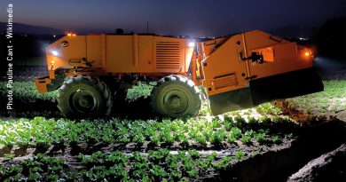 Robot agricole - salades