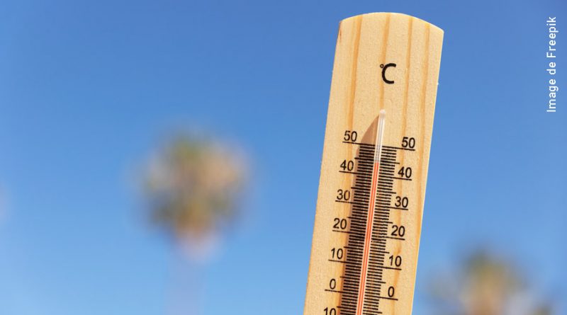 Thermomètre 45°c