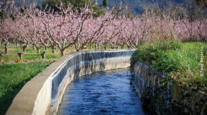 Canal d'irrigation