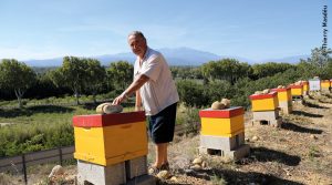 André Huguet, apiculteur et trésorier de l’USAR