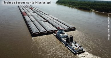 Train de barges sur le Mississippi