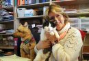 Corinne Legrand, présidente et fondatrice du refuge Un Gîte une Gamelle en compagnie de son directeur Félix le chat et du chien en peluche, la mascotte du refuge.