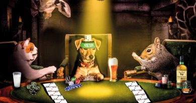 Salon de l’agriculture : Pitoyable poker menteur, misérable débat ! (Par Jean-Paul Pelras)